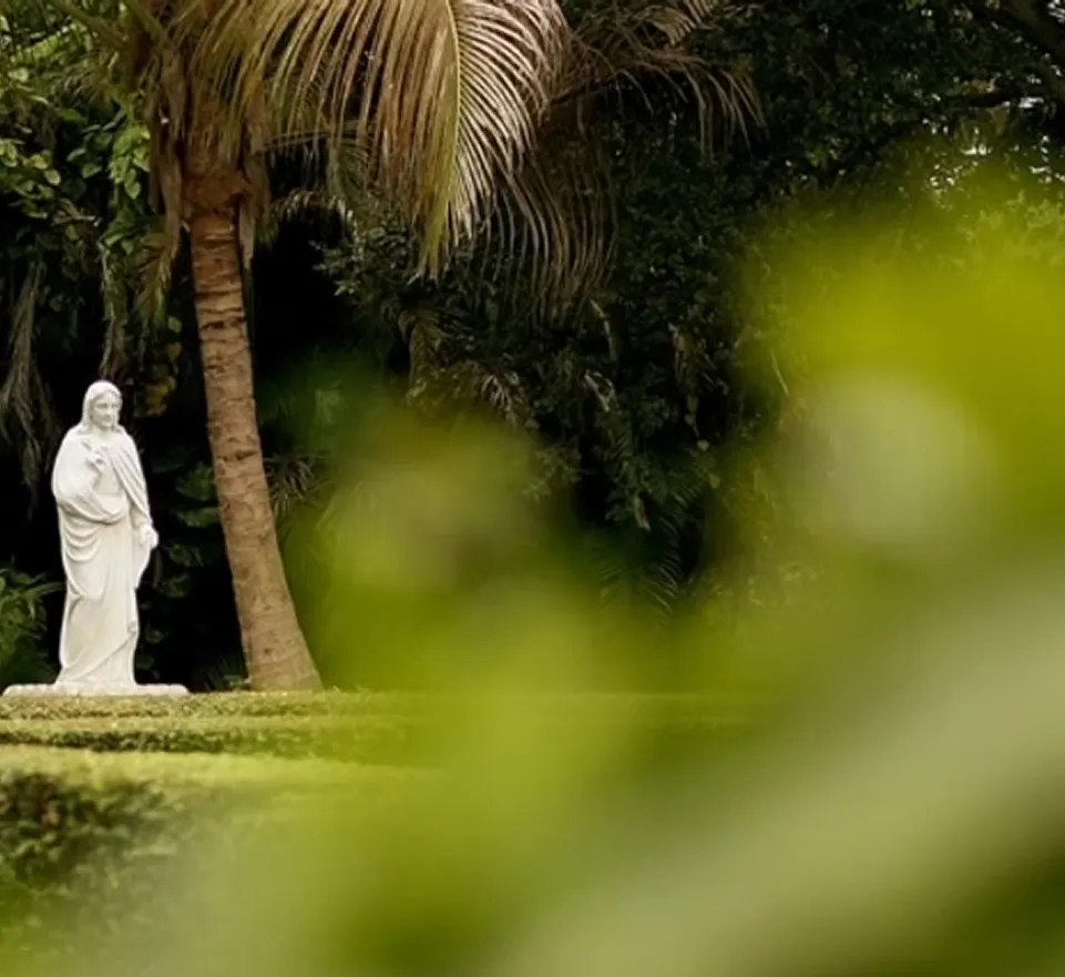 The Ancient Spanish Monastery with lush tropical greenery and a beautiful view of the gardens