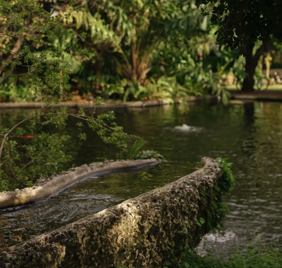 Exterior view of Miami Beach Botanical Garden with palm trees, a golf course, and a clubhouse