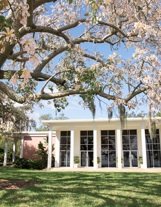 Tampa Garden Club